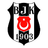 Besiktas GAIN Stambuł