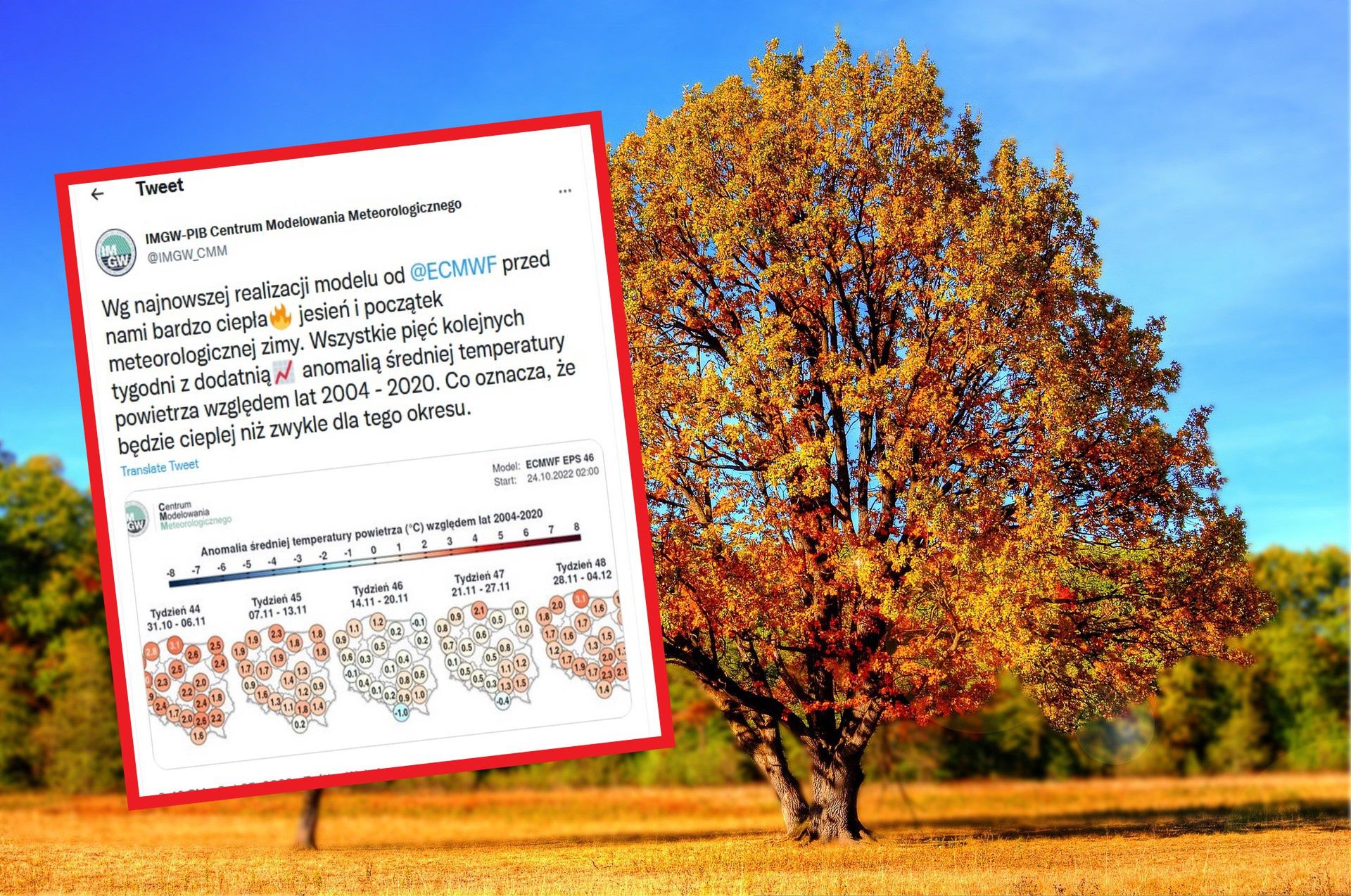 Pogoda. Najbliższe tygodnie będą ciepłe