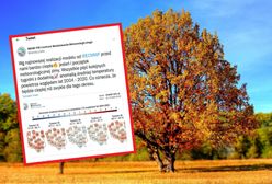 Takie są prognozy. Początek zimy inny niż zwykle