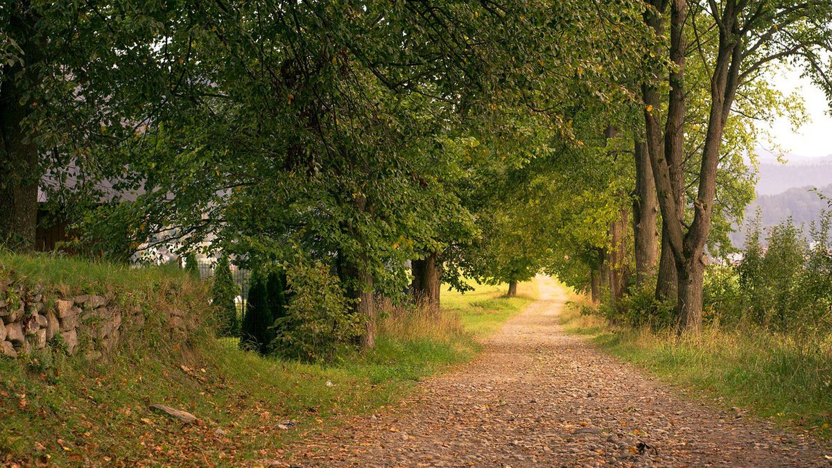 Pogoda na wrzesień 2020