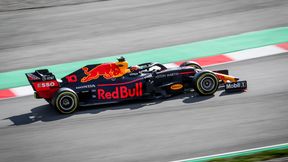 F1: Red Bull może namieszać w stawce. Możliwa nawet walka o tytuł