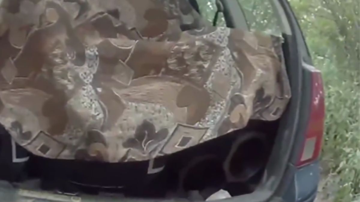 Sieć obiegło nagranie, ukazujące rzekomo sprzedaż ukraińskiego uzbrojenia na czarnym rynku