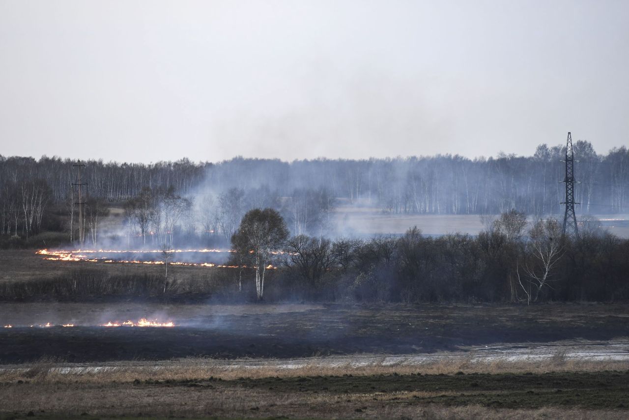 Znów gorąco na Syberii. Temperatura gruntu osiągnęła niepokojącą wartość