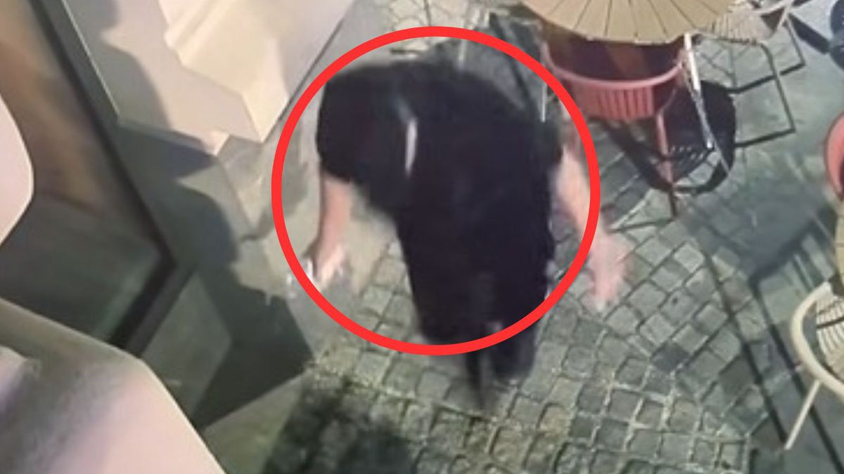 Mężczyzna zatrzymany za rozlanie kwasu w okalu