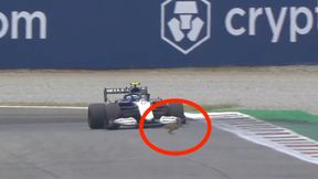 Zając oszukał przeznaczenie. Groźne sceny w F1