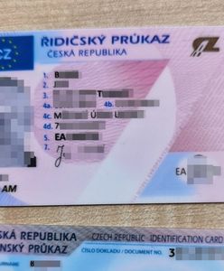 Lubin. Przed policjantami udawał Czecha. 41-latka zdradził język