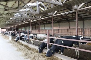 Dobrostan zwierząt: Idea słuszna, praktyka pełna absurdów? Komentarz WIR