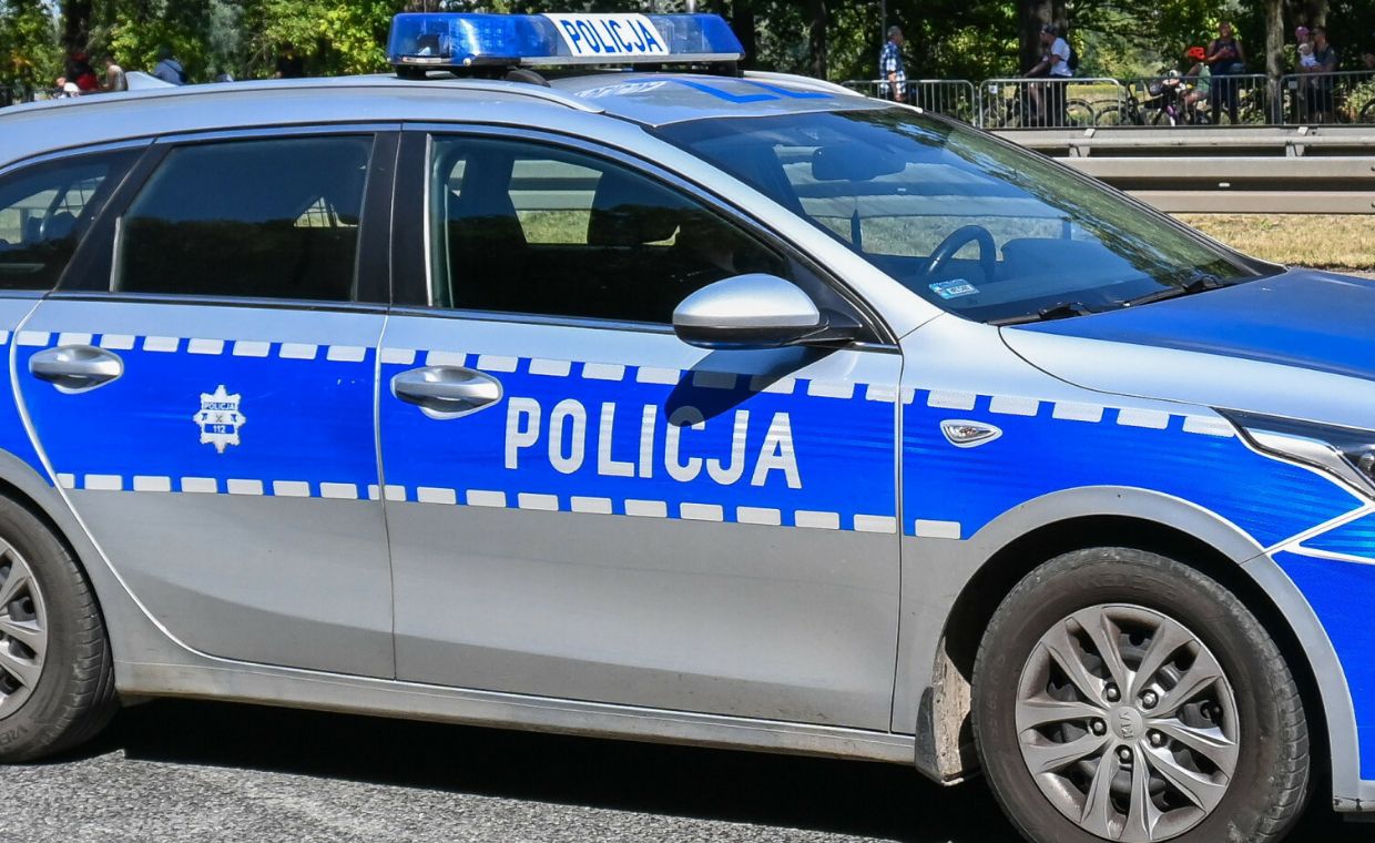 wiadomości,aktualności,WP Wiadomości Mężczyzna trzyma w ogródku lwy i tygrysa. Usłyszał zarzuty