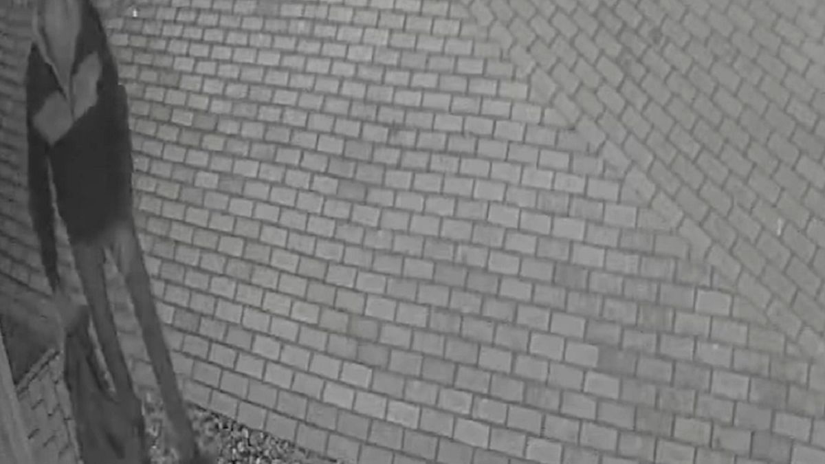 Policja poszukuje mężczyzny, który ukradł ozdobne krzewy.