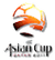 Puchar Azji 2011