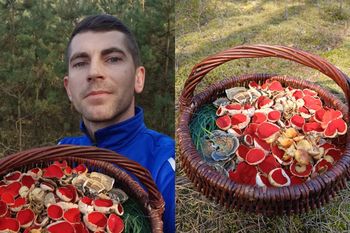 Poszedł na grzyby 22 marca. Wyniósł pełny kosz