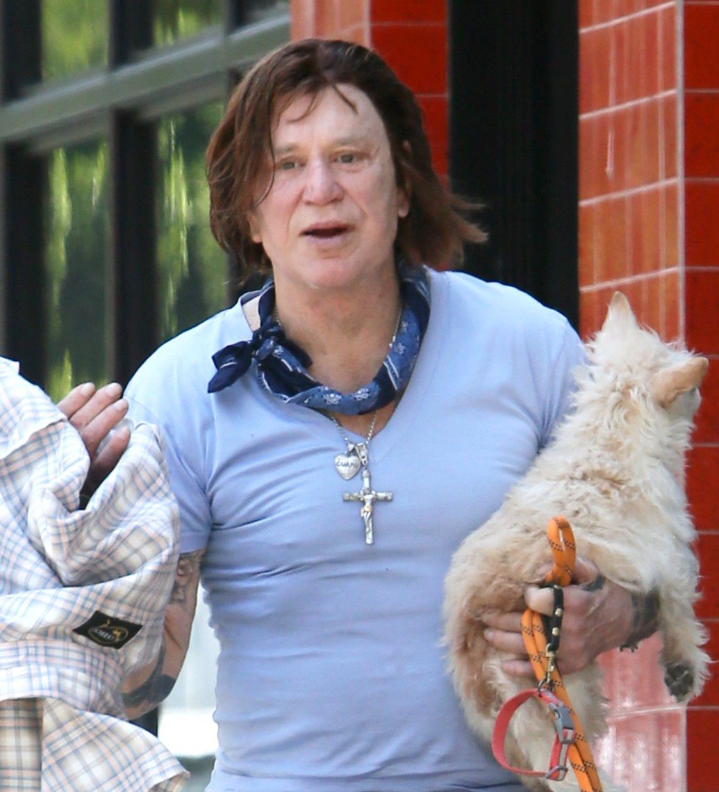 Mickey Rourke spaceruje po LA z gromadką pupili