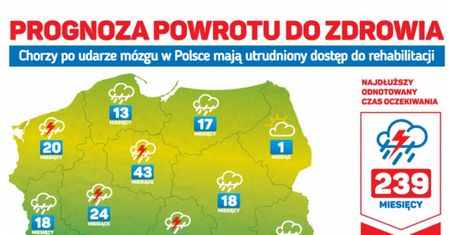Ile czeka się na rehabilitację po udarze mózgu w Polsce?