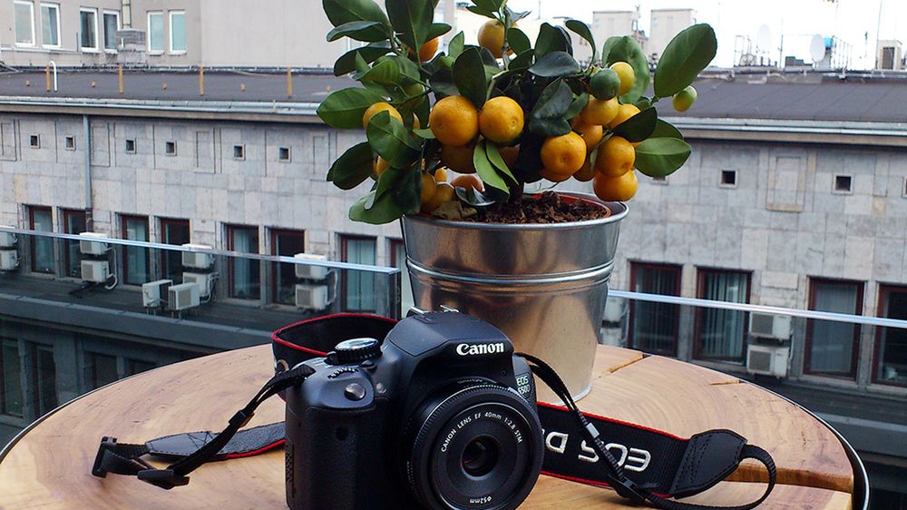 Czy jesteś uczulony na swojego Canona? 1