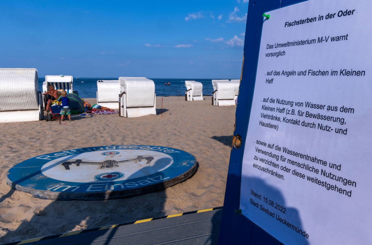 Złote algi. Złe wieści znad Odry. PiS nie znajdzie winnego?
