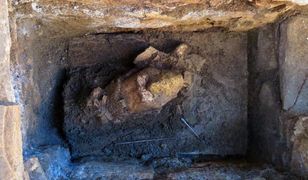 Posąg z odciętą głową sprzed 1300 lat. Niezwykłe odkrycie w Palenque w Meksyku