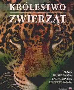 Wrota światów. Zła piosenka