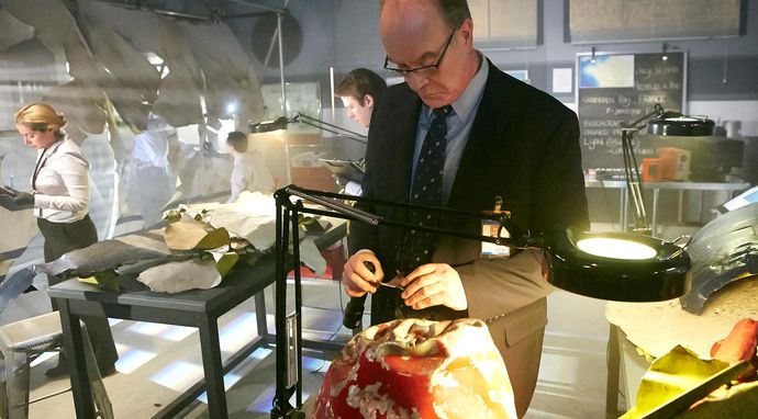 Katastrofa w przestworzach