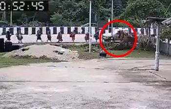Masakra w Tajlandii. 11-latek spowodował wypadek. Nie żyje 8 mnichów