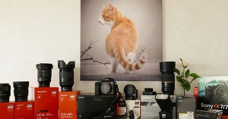 Sony ma przewagę nad Nikonem, ale Canon wciąż jest na pierwszym miejscu