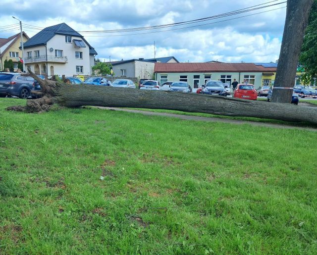 Fot. Policja Ryki 