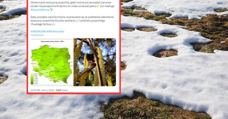 Kiedy zaczyna się wiosna? CMM-IMGW: już niedługo zaranie wiosny