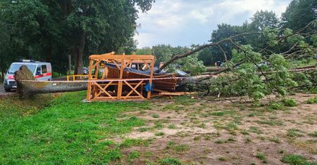 Siedzieli pod wiatą. Spadło na nich drzewo