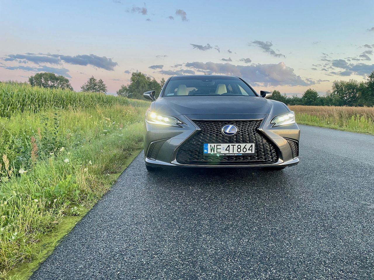 Lexus ES 300h przed zmianami
