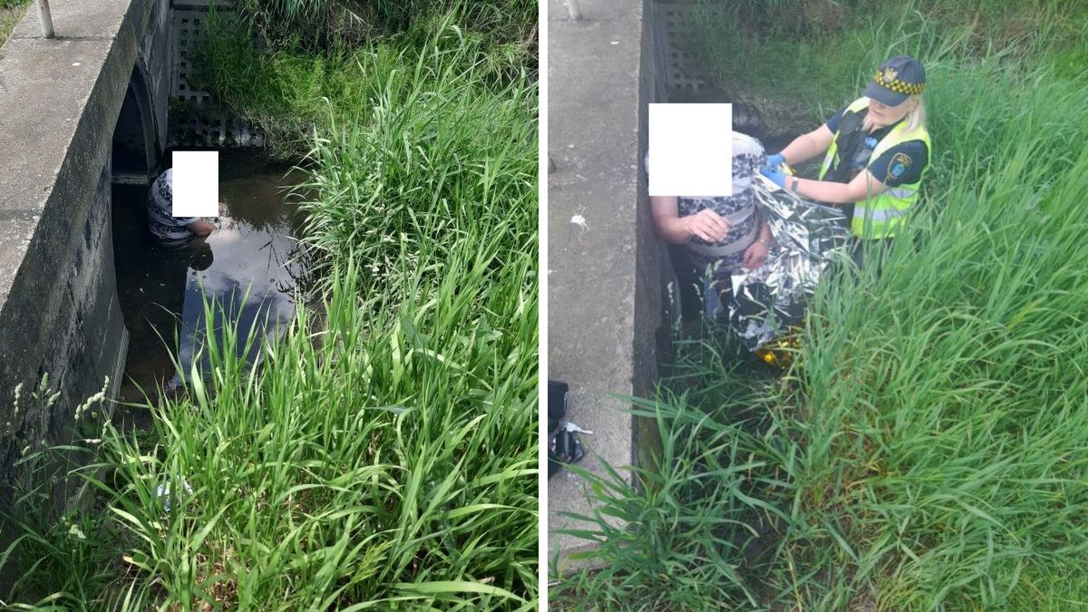 Niecodzienna interwencja funkcjonariuszy z Poznania