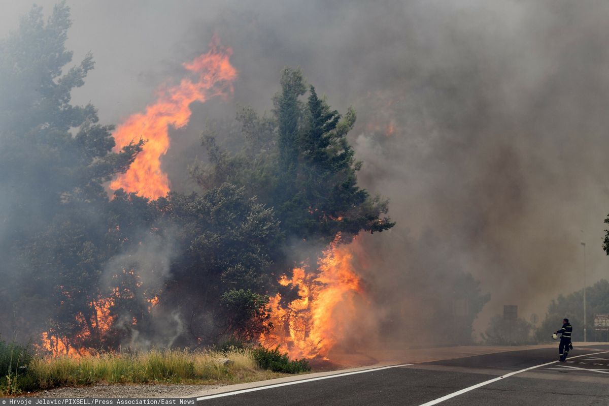 Nowe pożary w Chorwacji. MSZ ostrzega Polaków wybierających się do tego kraju