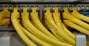 Najszybszy hosting w Polsce. Co to znaczy i jak działa?