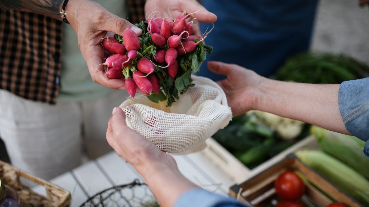 Jak odróżnić polską rzodkiewkę od importowanej?