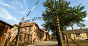 Muzeum Auschwitz. Nowy serwis ujawni dane o ofiarach i transportach