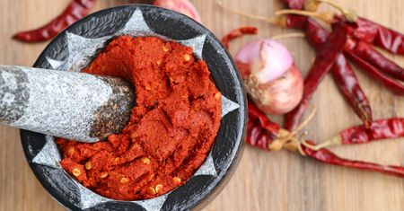 Ostra papryczka. Czyli wszystko, co warto wiedzieć o chili