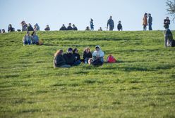 Koła na trawie. Władze San Francisco wprowadziły genialne rozwiązanie w parku