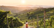 Piemont – nie tylko barolo