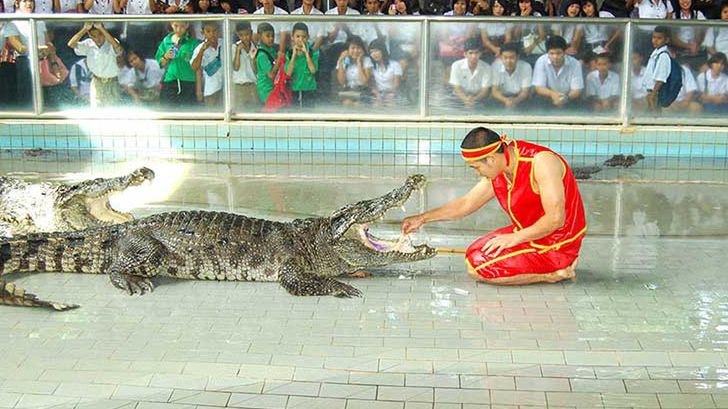 Atrakcja zadziwiła polskiego influencera