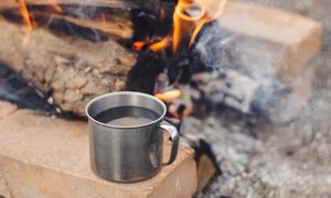 Jak sprawdzić kaloryczność drewna w domowych warunkach? Zrób prosty domowy test