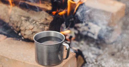 Jak sprawdzić kaloryczność drewna w domowych warunkach? Zrób prosty domowy test