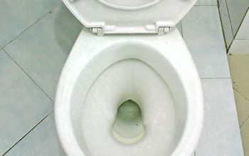 Wieczorem wlej do WC. Do rana "wyżre" cały kamień i brud