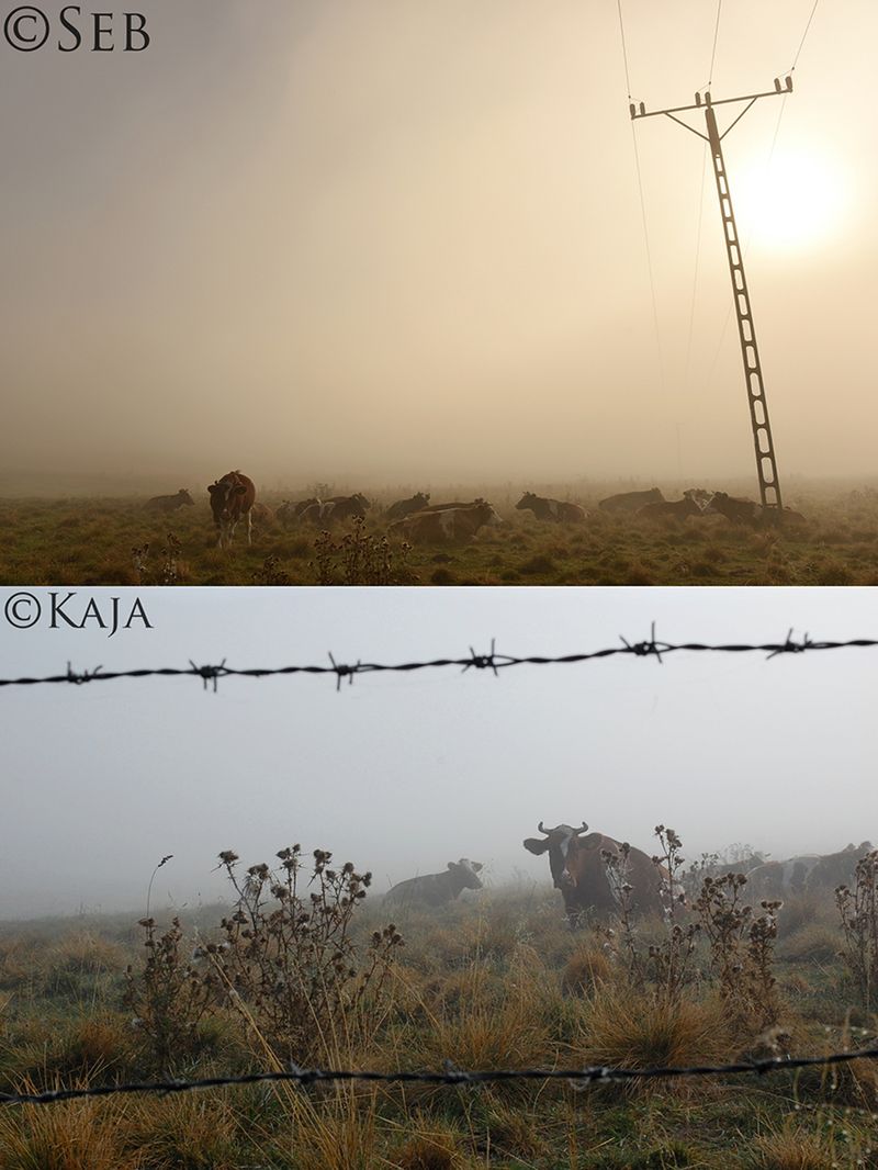 Fotograf nigdy nie uczył córki fotografii – wszystko robiła instynktownie kadrując to, co dla niej ważne. Piękno fotografii tkwi w indywidualnym spojrzeniu i prostocie wyrazu, którą niestety wielu z nas zatraca wraz z zagłębieniem się w tajniki tej sztuki.