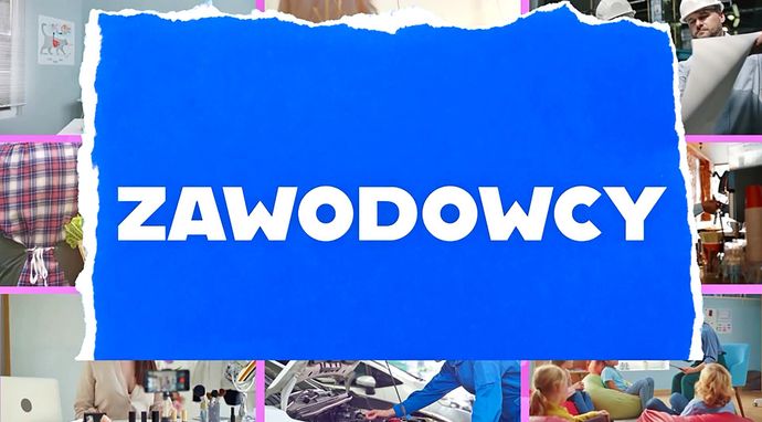 Zawodowcy
