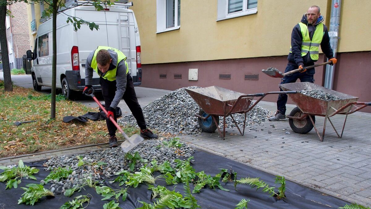 Ogród deszczowy przy ul. Obrońców Pokoju