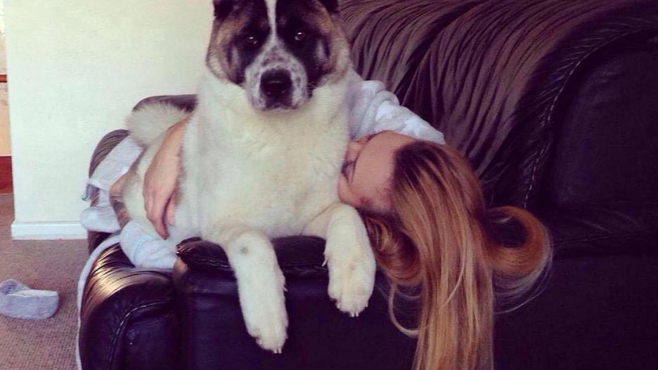 Pies cały czas wąchał brzuch ciężarnej. Nie spodziewała się, że chciał ją ostrzec przed najgorszym