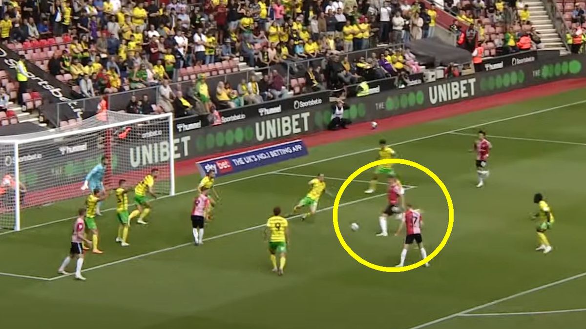 YouTube / Na zdjęciu: gol Jana Bednarka