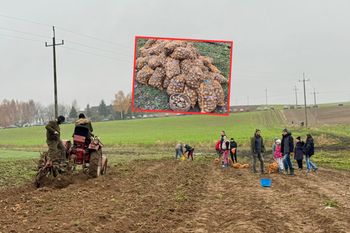 Zorganizowali retro-wykopki. Wszystko w szczytnym celu