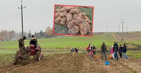 Zorganizowali retro-wykopki. Wszystko w szczytnym celu
