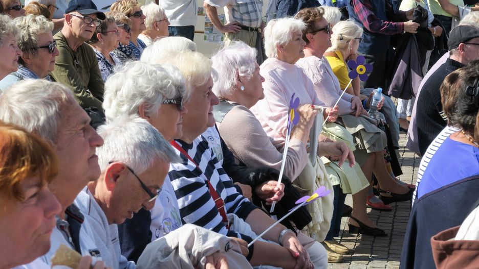 UOKiK nałożył 114 tys. zł kary na firmę, która organizuje pokazy