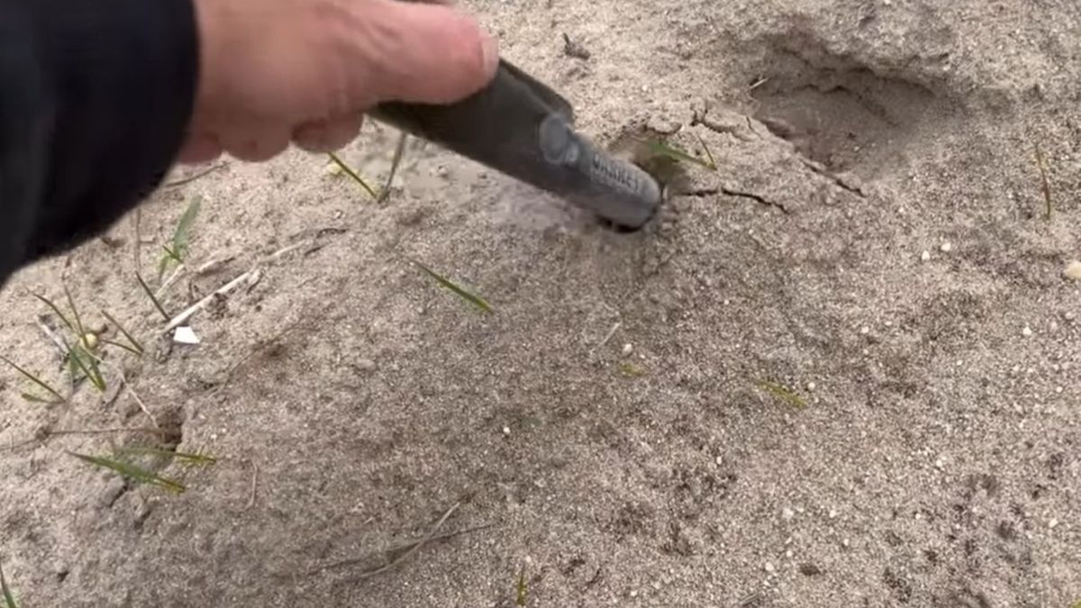 Archeologowie prowadzili m.in. w Lasach Kozłowieckich poszukiwania z użyciem wykrywacza metali (zdjęcie ilustracyjne).