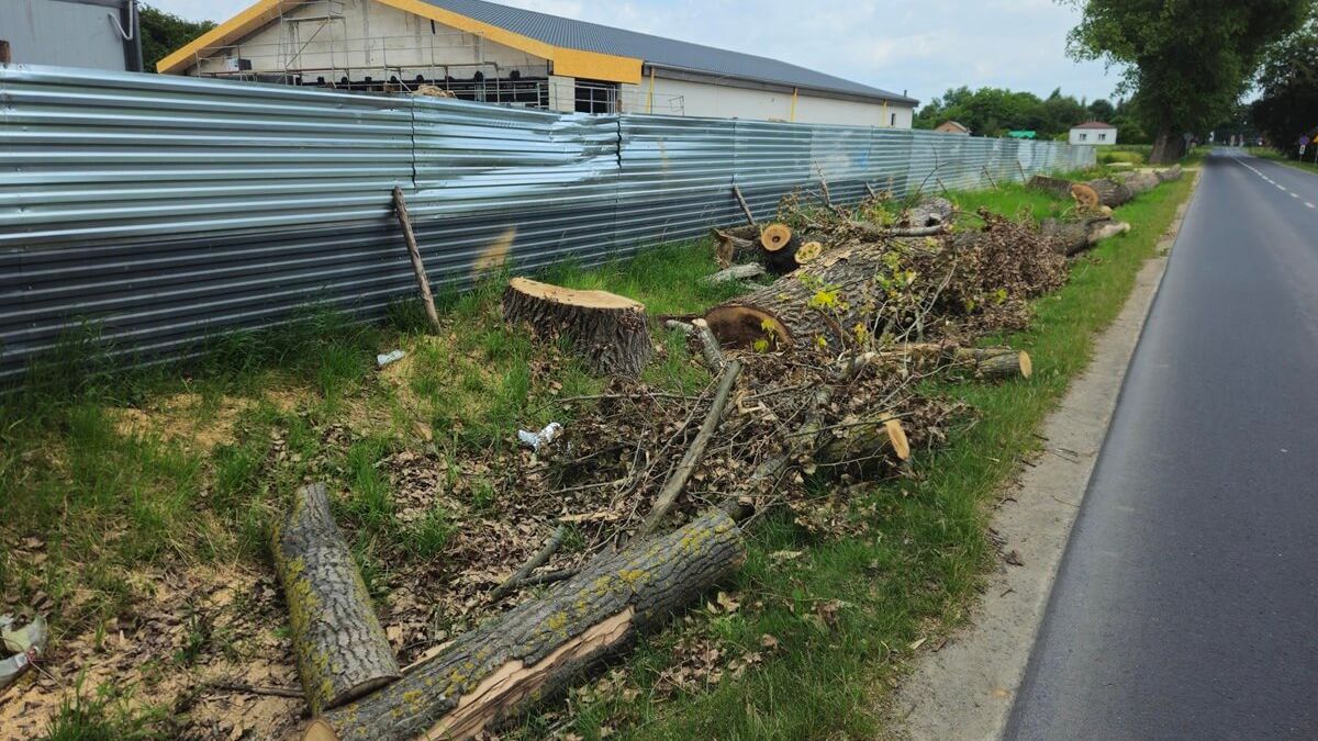 Wycięte topole obok budowanej Biedronki przy ul. Krężnickiej
